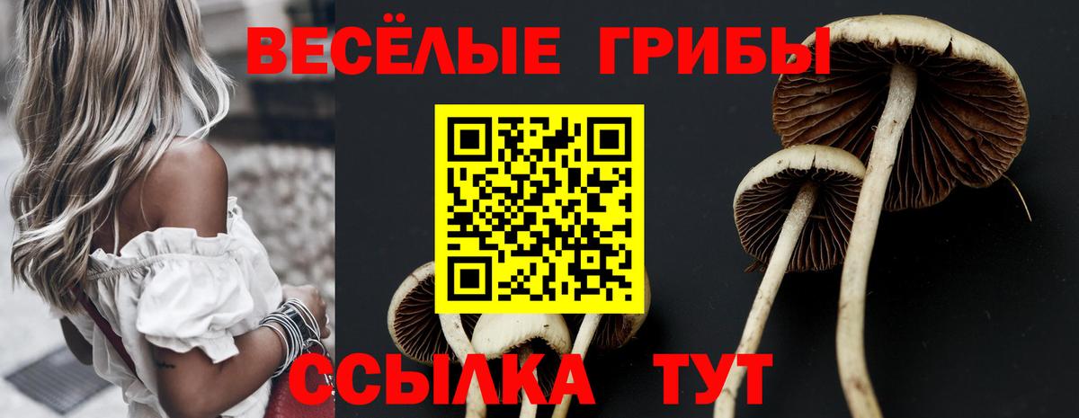 Нягань  Псилоцибиновые грибы ЛСД  Вход с VPN  Галлюциногенные грибы ЛСД 